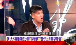 新爆料汪小菲视频播放全集,独家播放全集深度解析